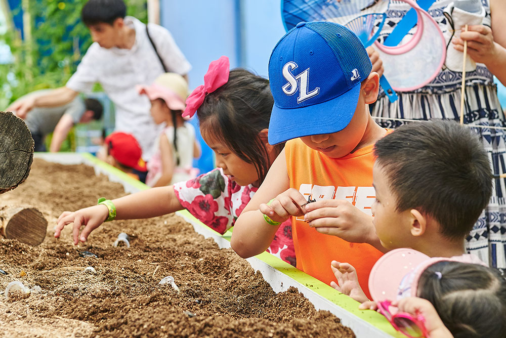 예천곤충축제